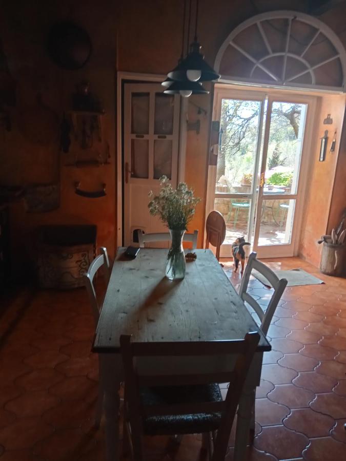 Montalbo Morelli Houseゲストハウス エクステリア 写真